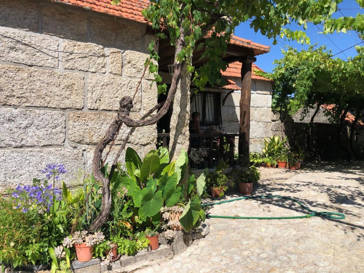 فيلا أمارانتيفي Casa Campo المظهر الخارجي الصورة